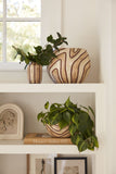 MOLLINO COLLECTION