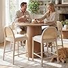 LukeAlon Counter Stool (set of 4)