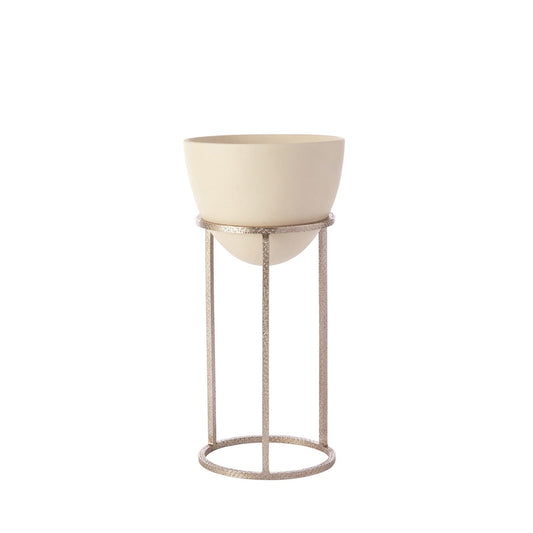 Níquel de huevo sabio