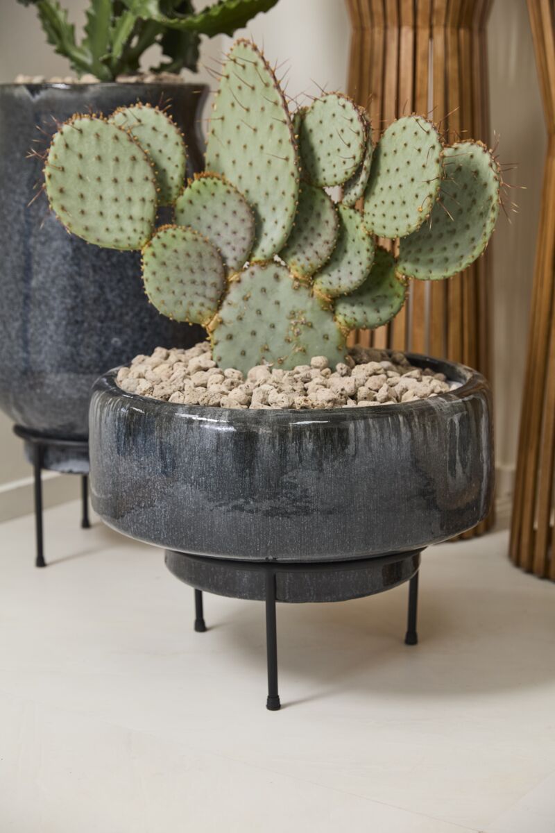 Arrival Planter
