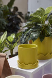 PISSARO POT WITH SAUCER