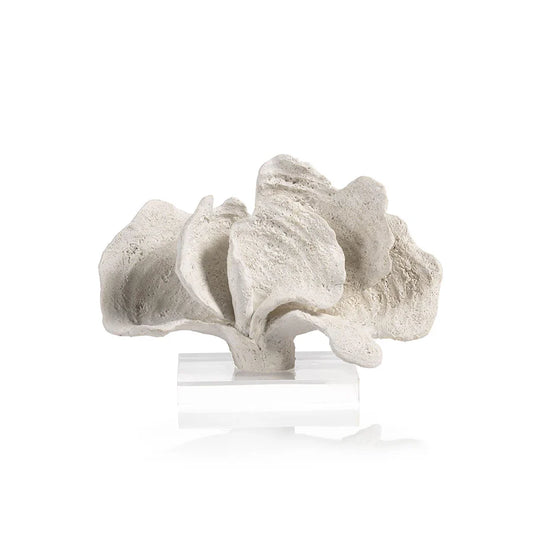 White Coron Coral on Acrylic Base