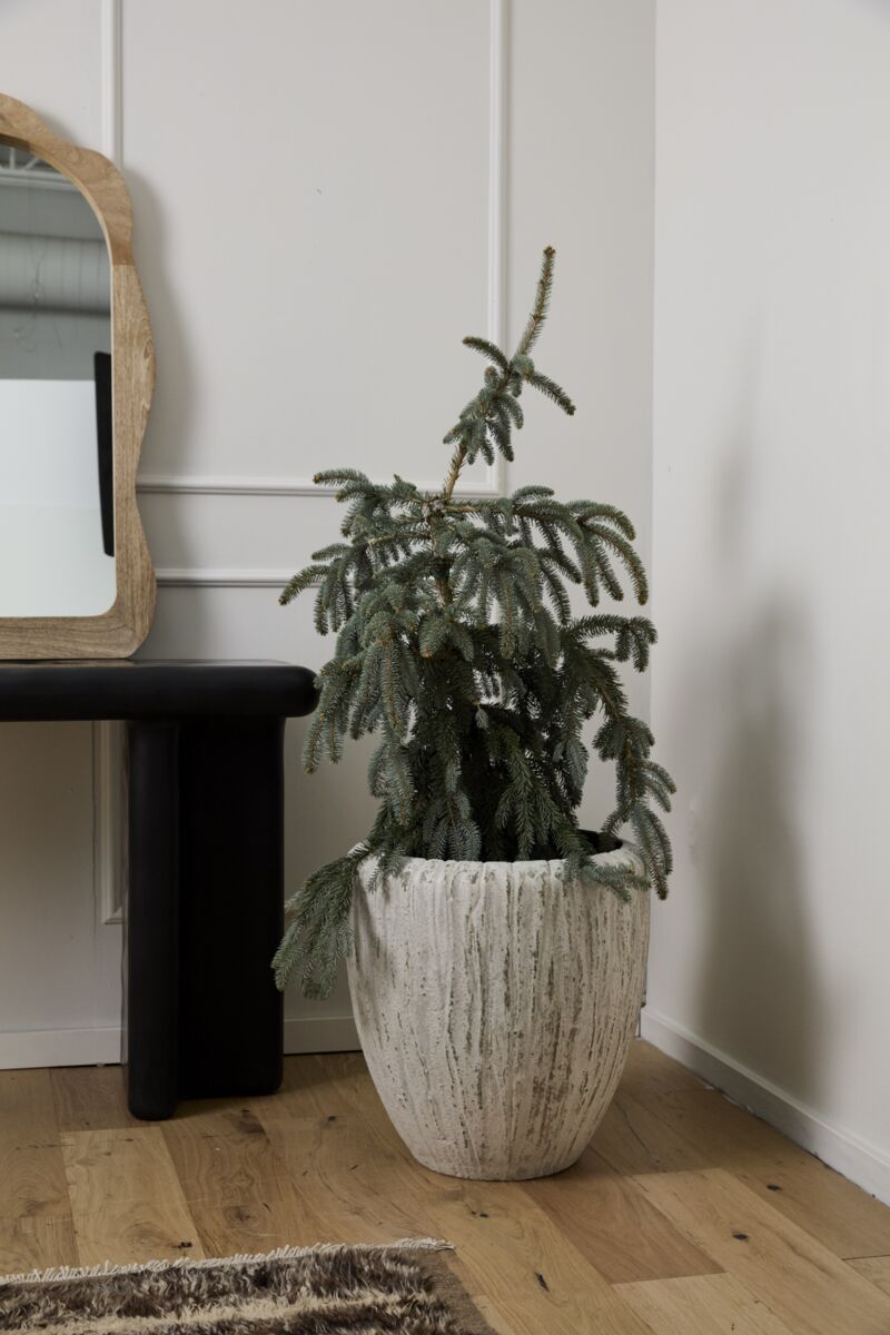 Tundra Planter