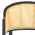Rogue Rattan Counter Stool