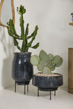 Arrival Planter