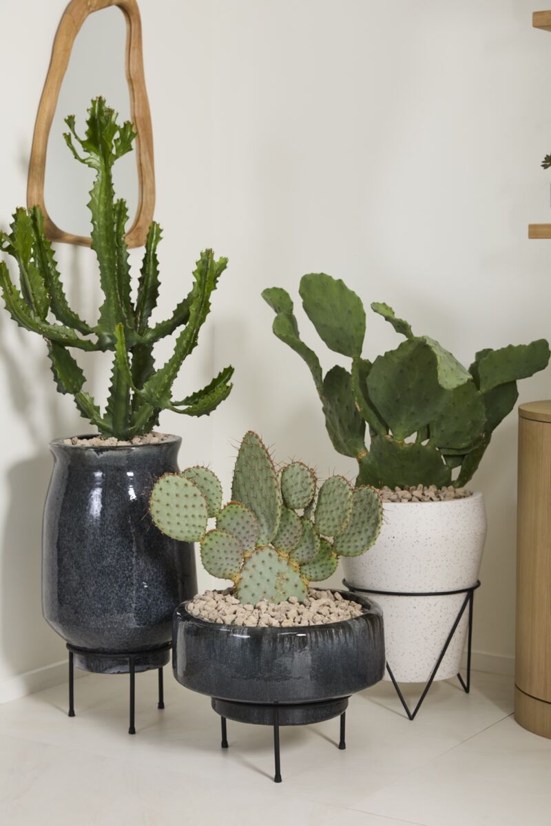 Arrival Planter