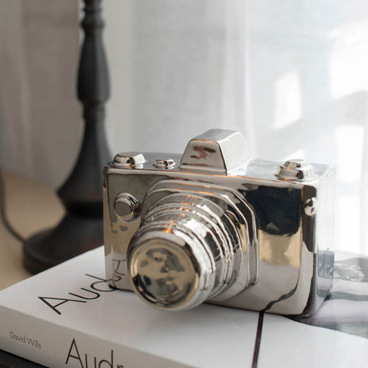 Cámara 6x5x4" Plata 12EA/CTN