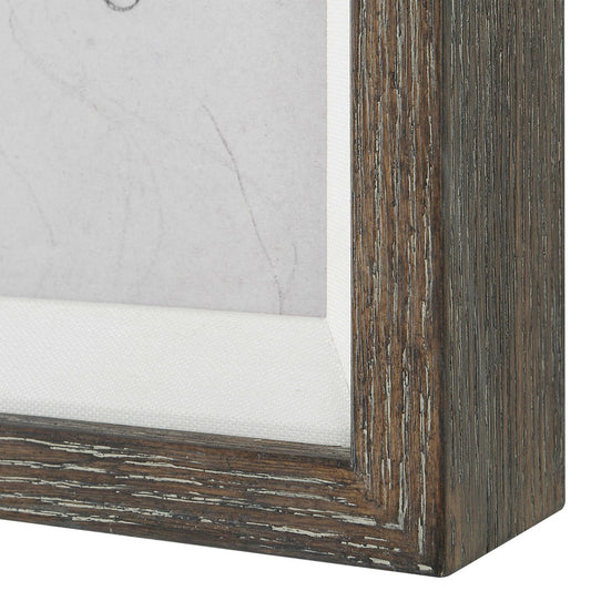 CAT AND STUDY OF A CAT FRAMED PRINTS, S/2