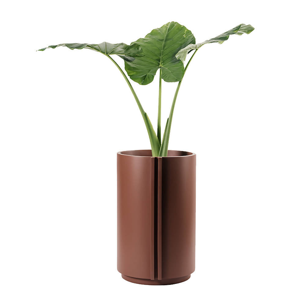 The Cylinder Medium