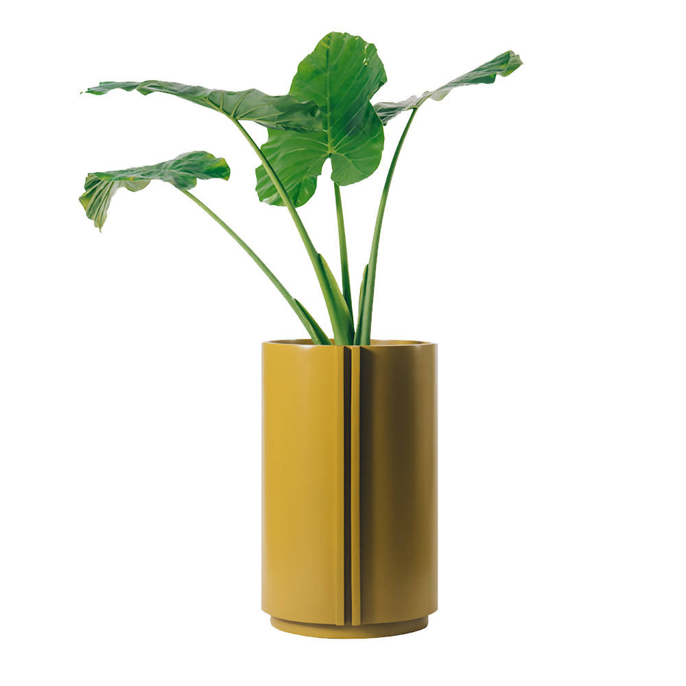 The Cylinder Medium