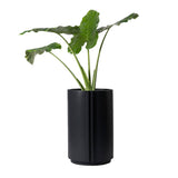 The Cylinder Medium