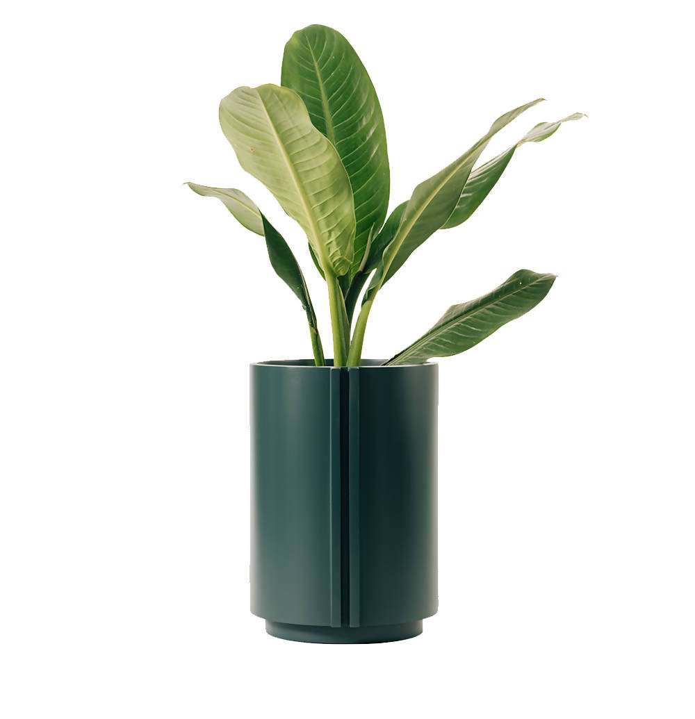 The Cylinder Small