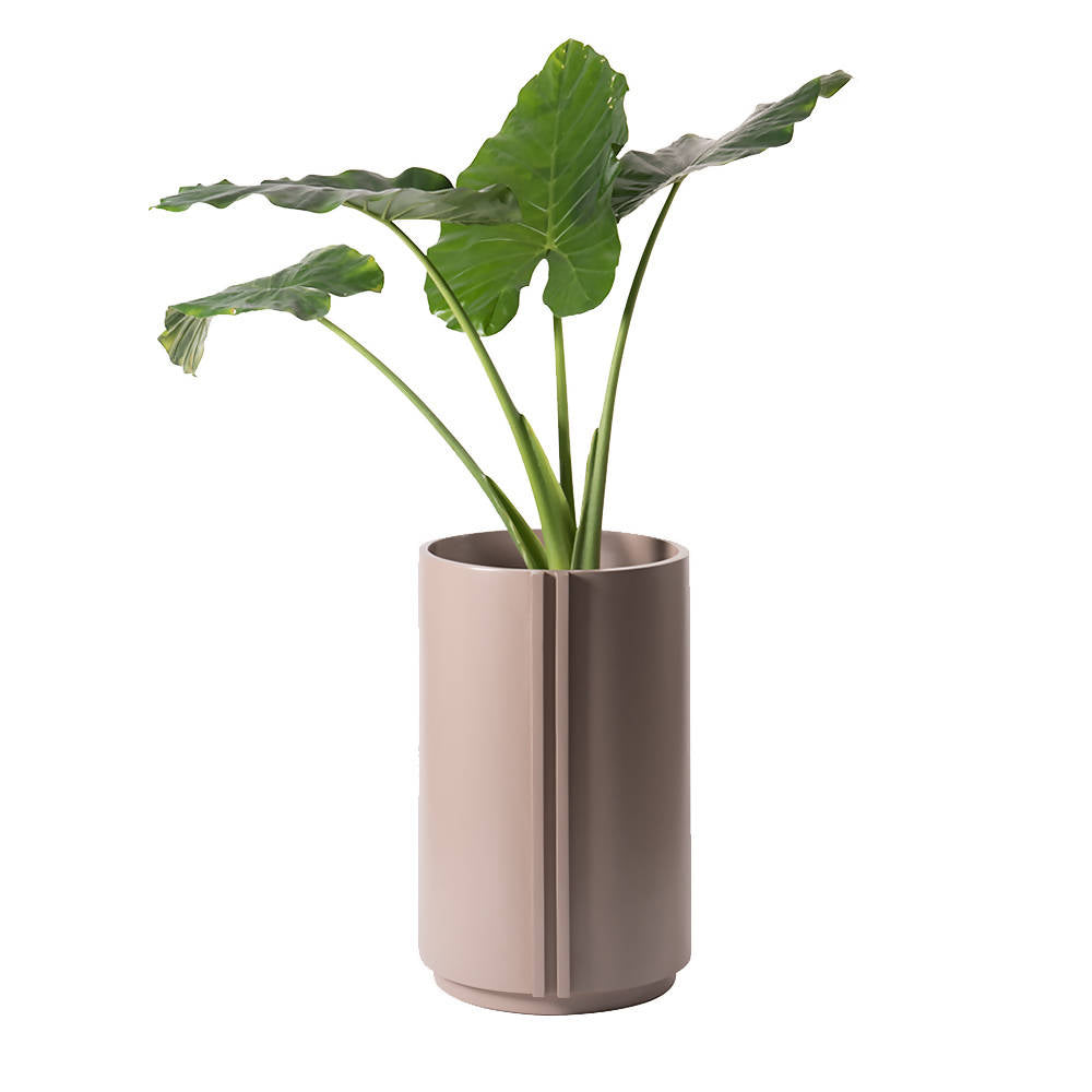 The Cylinder Medium