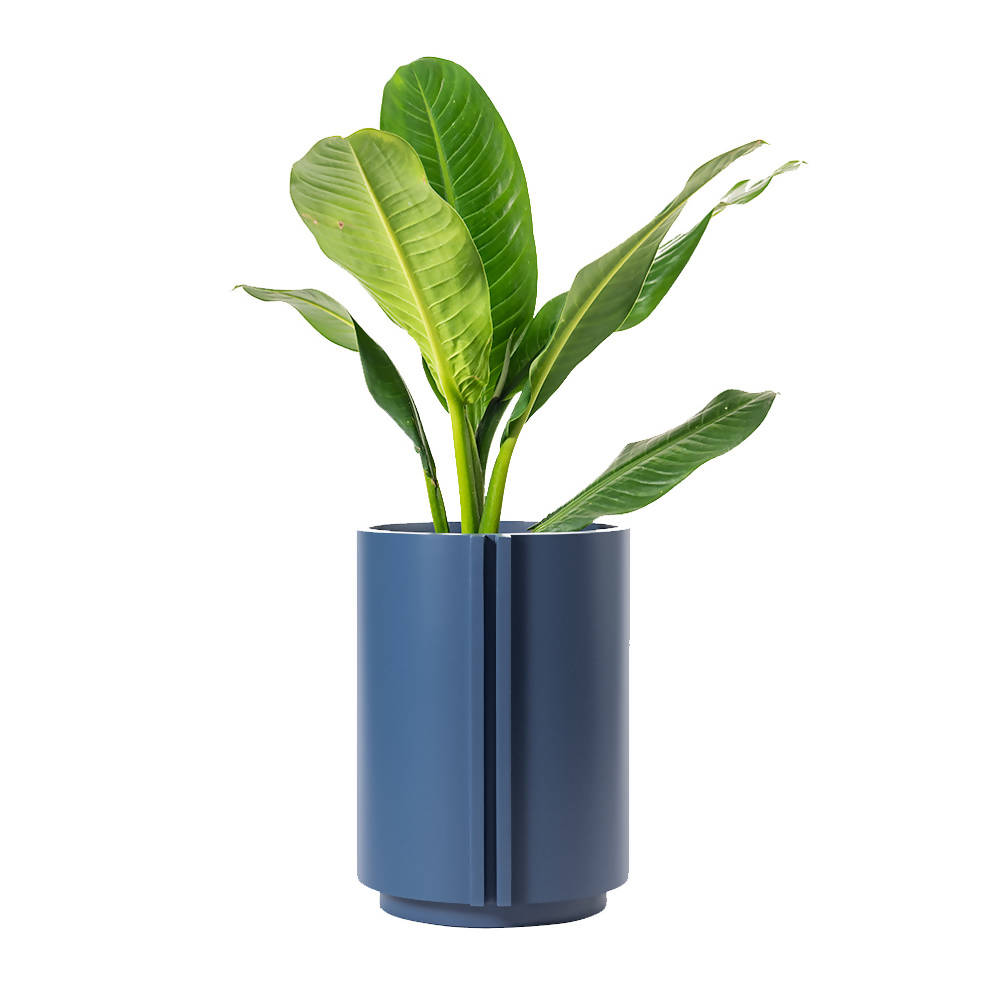 The Cylinder Small
