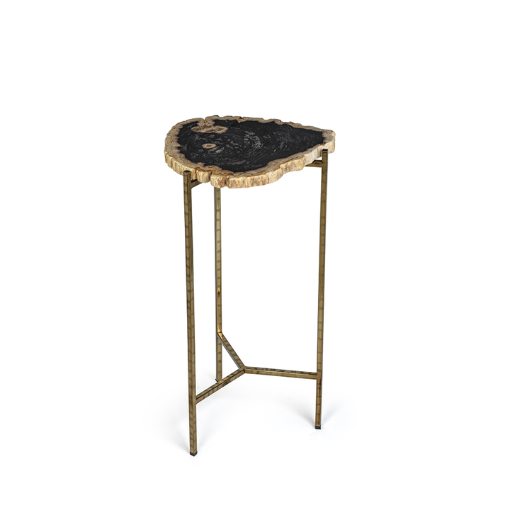 Porto Alegre Petrified Wood Side Table