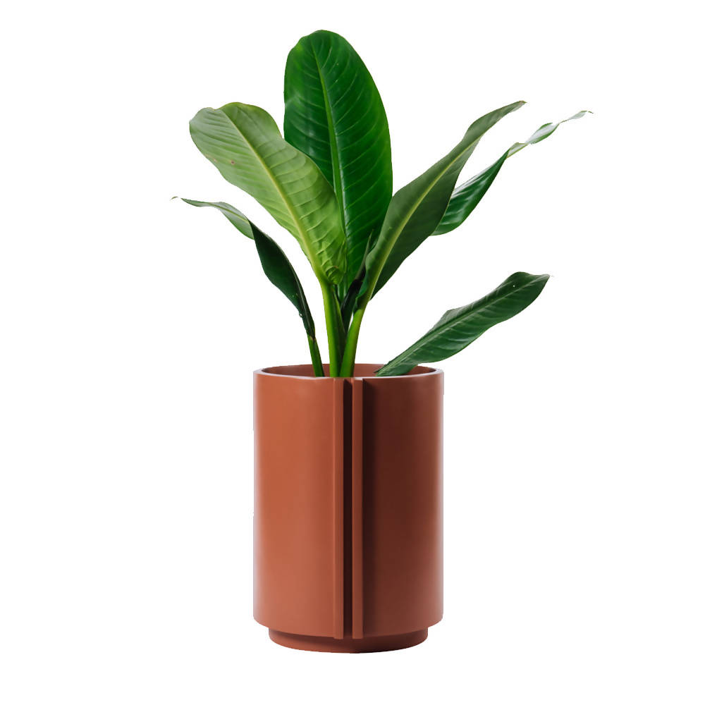 The Cylinder Small