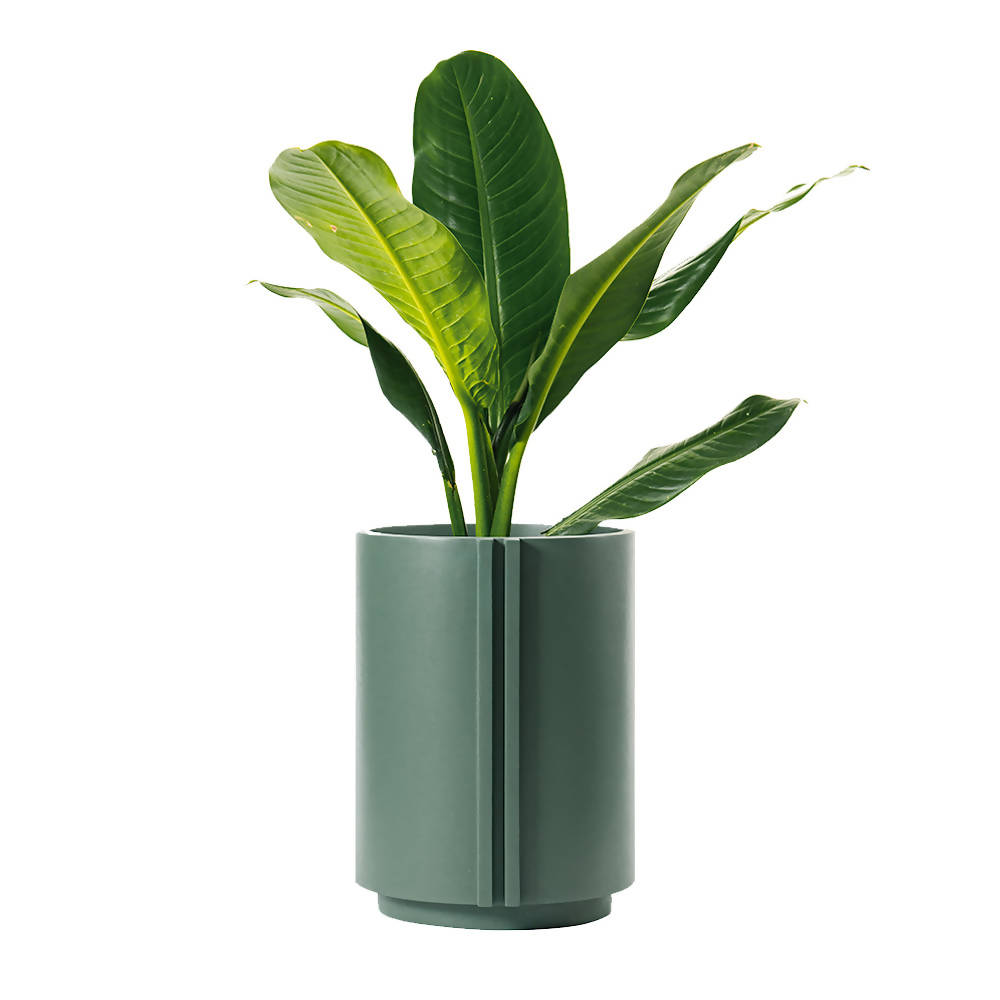 The Cylinder Small