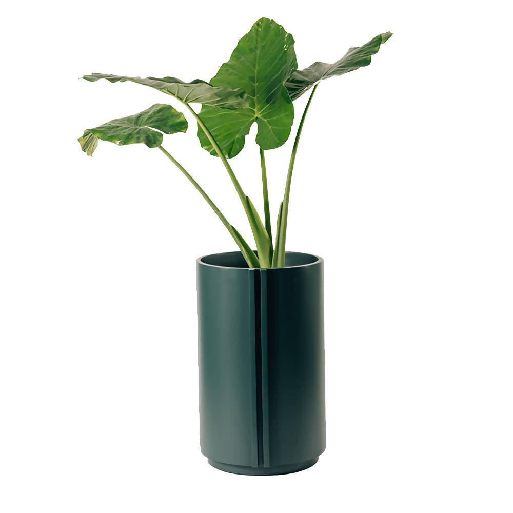 The Cylinder Medium