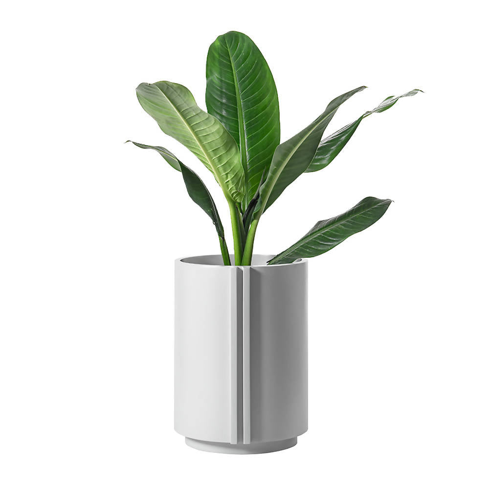 The Cylinder Small
