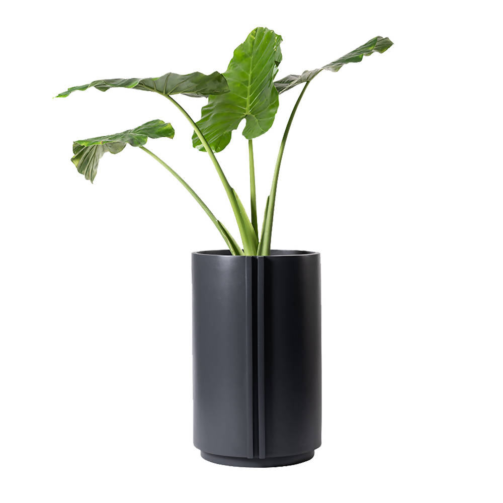 The Cylinder Medium