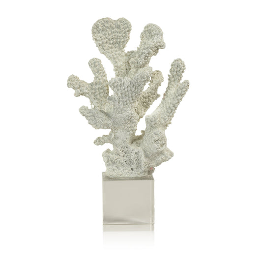 White Coral on Acrylic Base - Design A