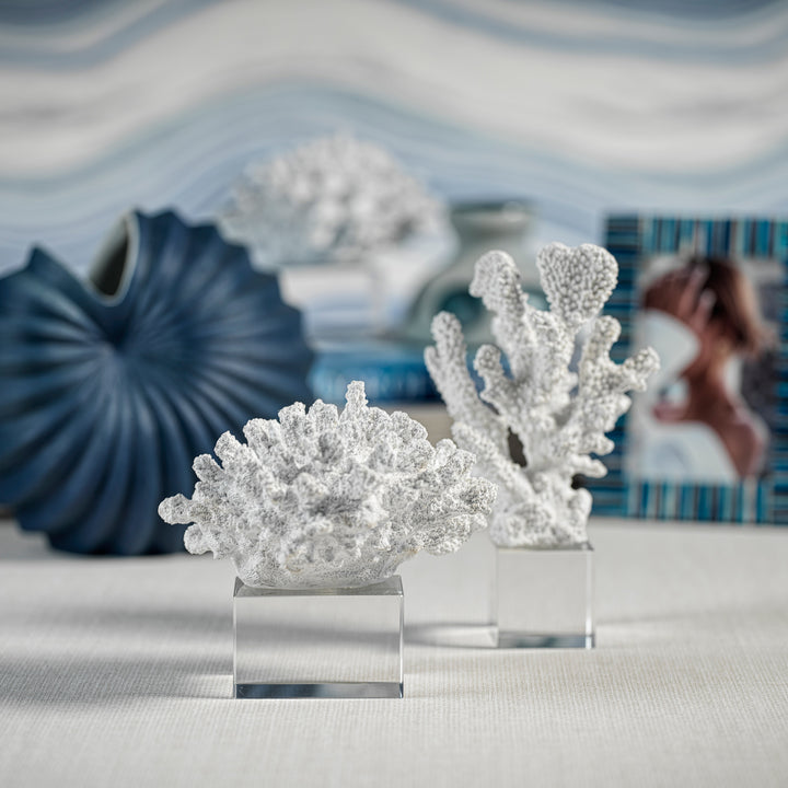 White Coral on Acrylic Base - Design A