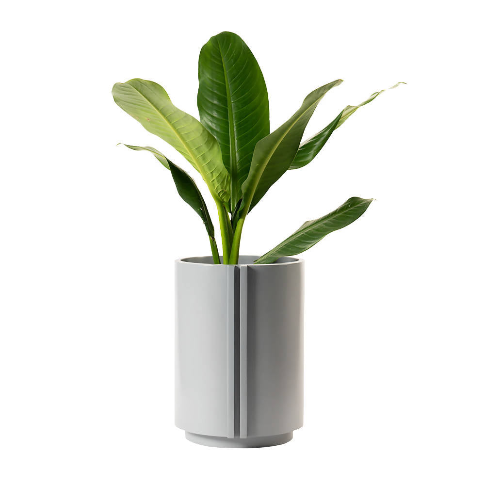 The Cylinder Small