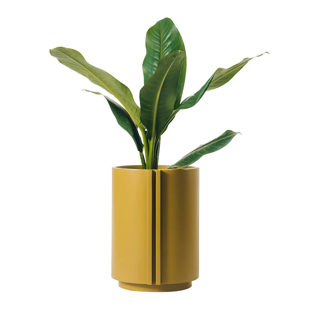 The Cylinder Small