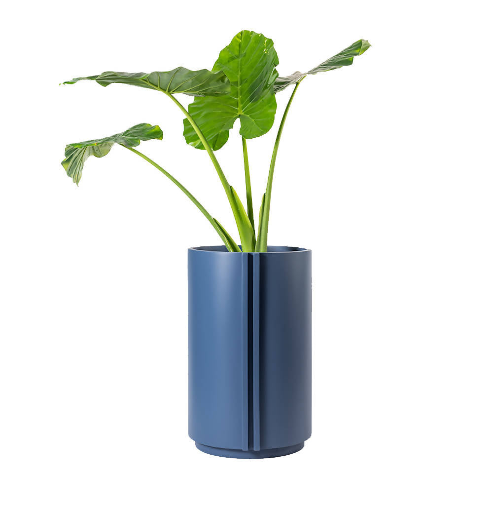 The Cylinder Medium