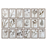 Impresiones enmarcadas de botánica