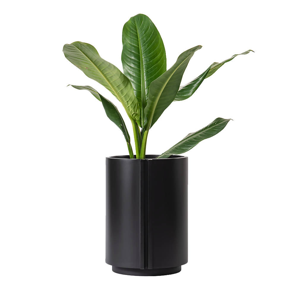 The Cylinder Small