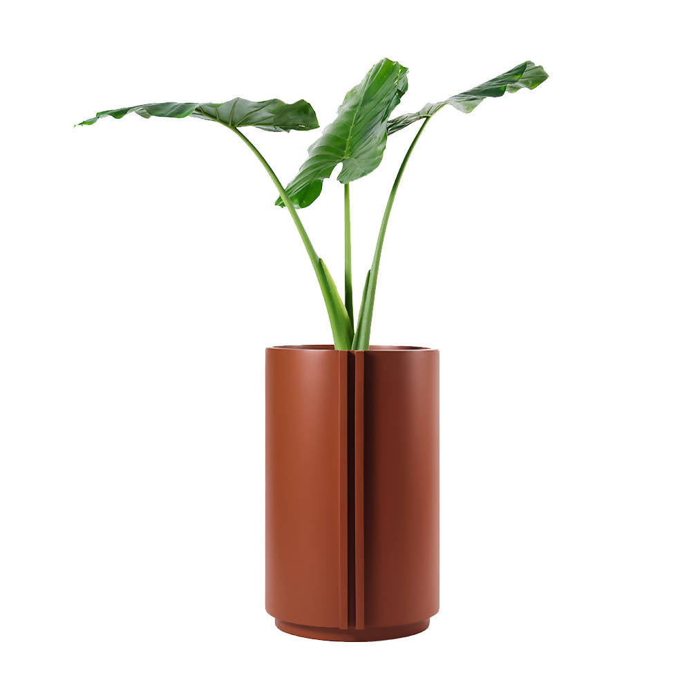 The Cylinder Medium