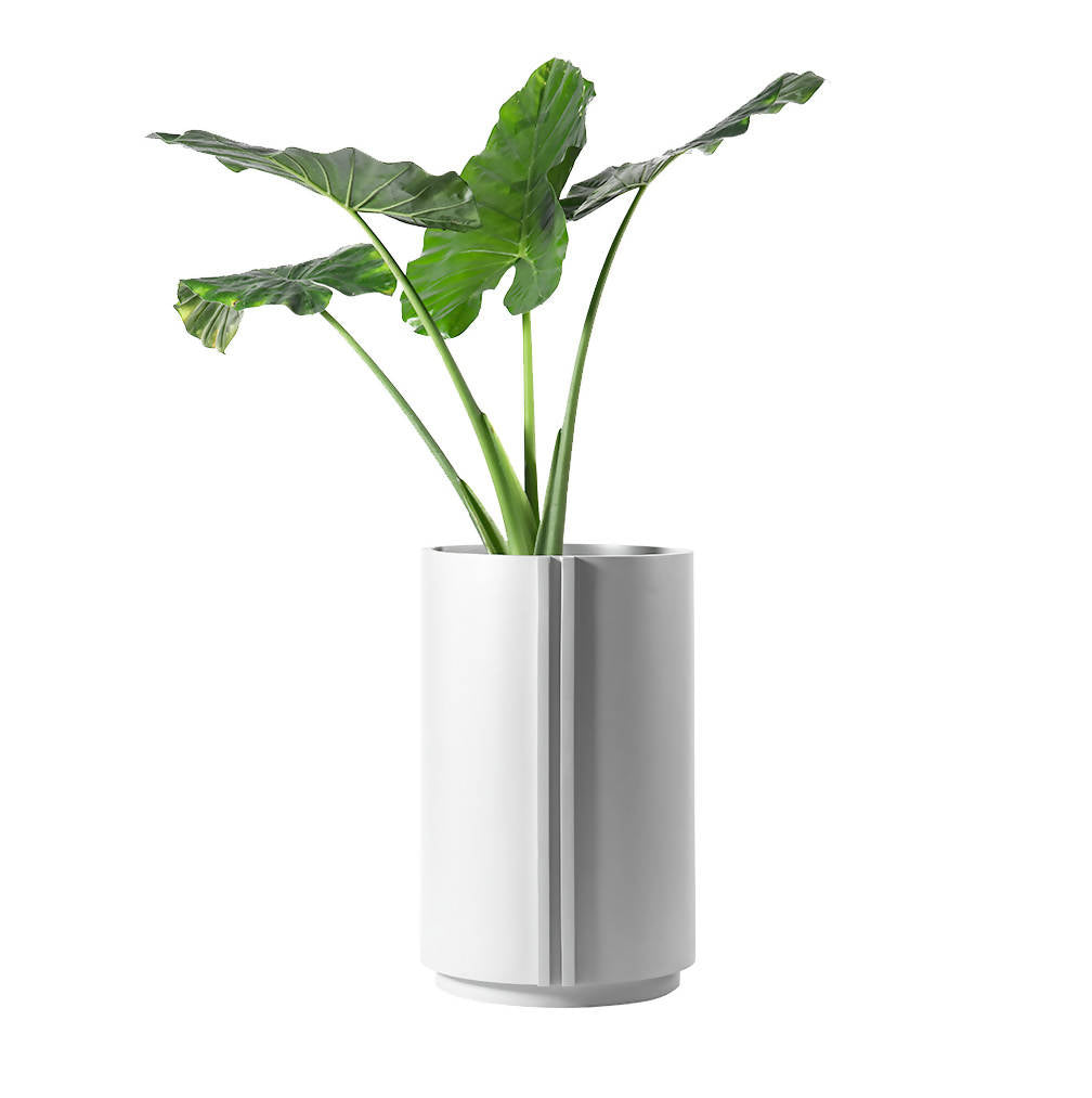 The Cylinder Medium