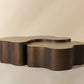 Boise Nesting Coffee Tables (Set Of 2)