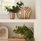 MOLLINO COLLECTION