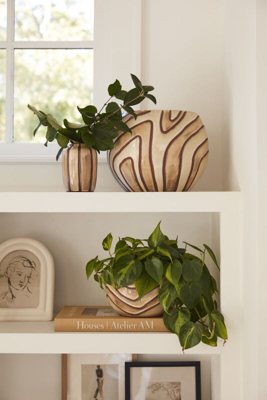 MOLLINO COLLECTION