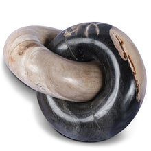 Cargar imagen en el visor de la galería, Petrified Wood Knot
