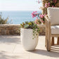 Florique Indoor / Outdoor Concrete Planter