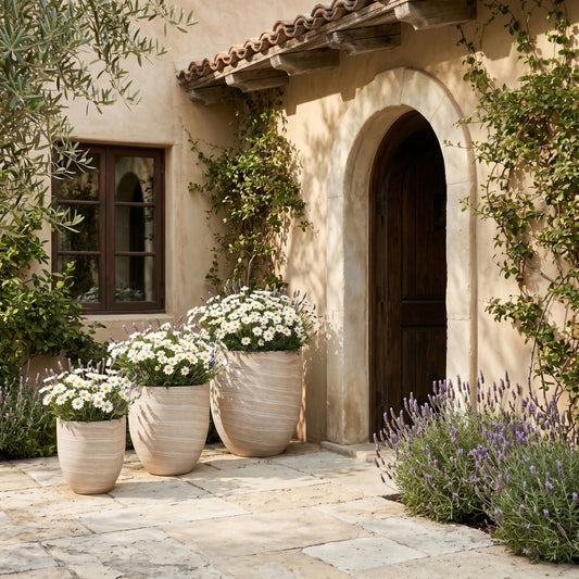 Florique Indoor / Outdoor Concrete Planter