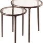 Evren Glass Top And Aluminum Base 2pc Nesting End Table