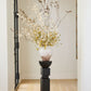 Exhibit Column