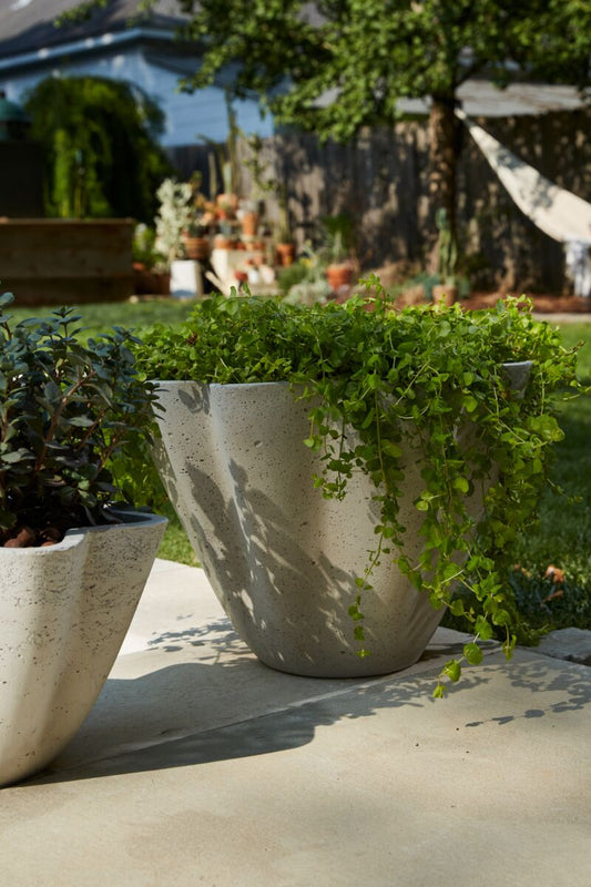 Living Planter