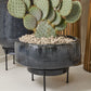 Arrival Planter