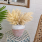 Round Terracotta Vase With Distressed White Tan Finish
