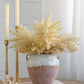 Round Terracotta Vase With Distressed White Tan Finish