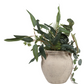 HEYDONOAK IVORY VASE 8 (IN)
