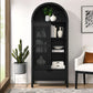 Vaughn Arched Storage Display Cabinet in Black