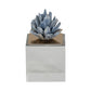 6" Julia Medium Blue Stone Crystal Block