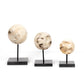 Organic Stone Sculpture Set de 3