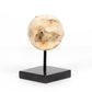 Organic Stone Sculpture Set de 3